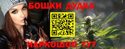 МДПВ Обь