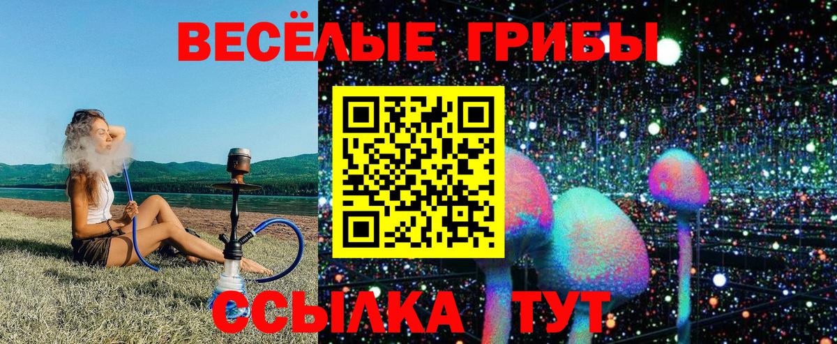 Псилоцибиновые грибы прущие грибы Урай